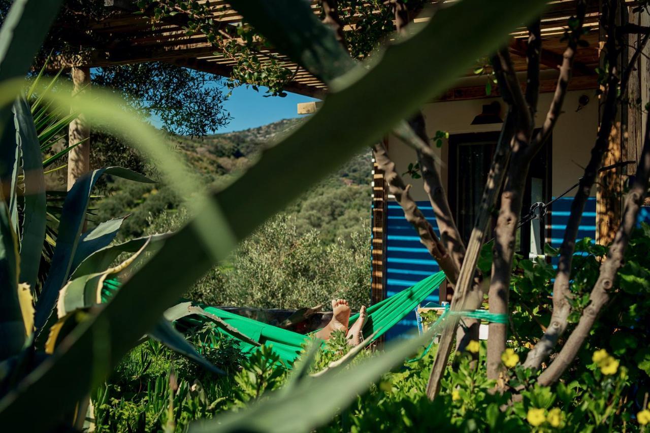 Saveriako, Paradise For Relaxed Free Spirits Villa Agia Pelagia Eksteriør billede
