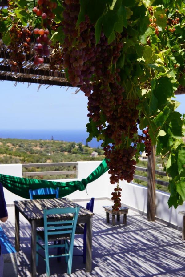 Saveriako, Paradise For Relaxed Free Spirits Villa Agia Pelagia Eksteriør billede