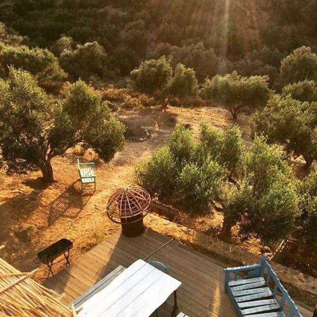 Saveriako, Paradise For Relaxed Free Spirits Villa Agia Pelagia Eksteriør billede
